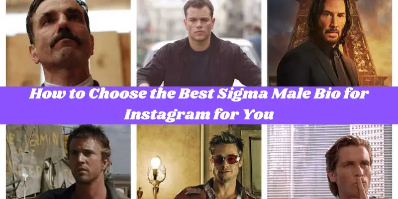 Sigma Male Bio for Instagram | Run Post 2 how to choose the best sigma male bio for instagram for you