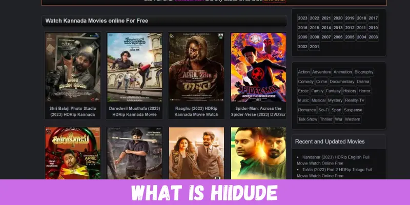 Hiidude | A Simple Guide for Everyone | Run Post 1 what is hiidude