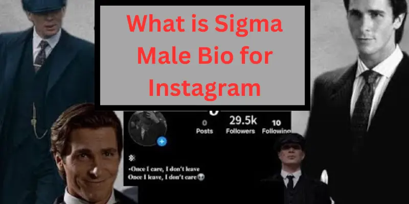 Sigma Male Bio for Instagram | Run Post 1 what is sigma male bio for instagram
